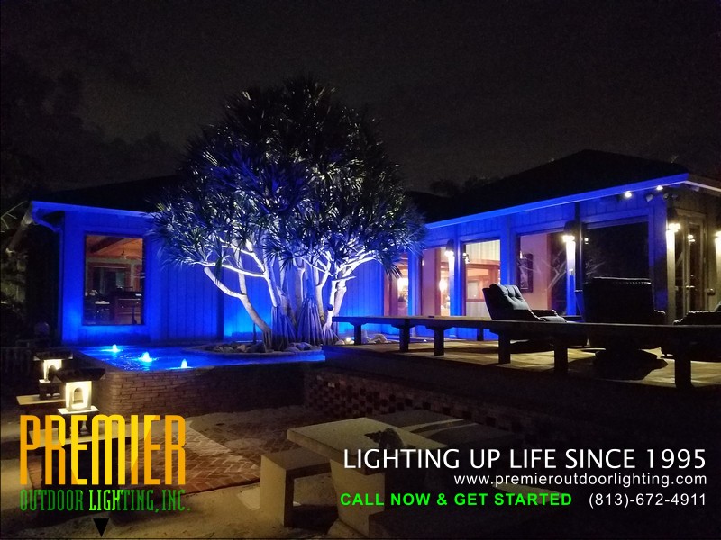 Colored Lighting Company Tampa Florida in Colored Lighting photo gallery from Premier Outdoor Lighting