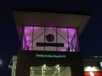 Outdoor Colored Lighting Techniques  - Company Projects