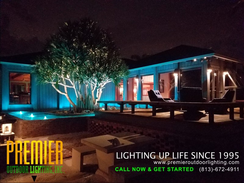 Colored Landscape Lighting  Company Clearwater in Colored Lighting photo gallery from Premier Outdoor Lighting