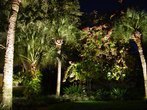 Landscape Lighting Techniques  - Company Projects