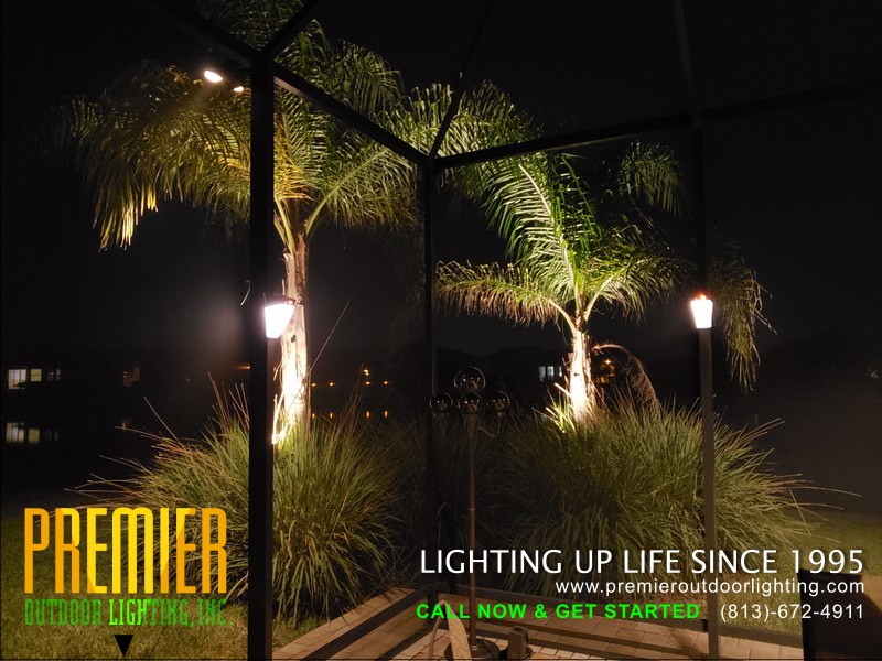 LED Screened Cage Lighting Projects in Pool Cage Lighting photo gallery from Premier Outdoor Lighting