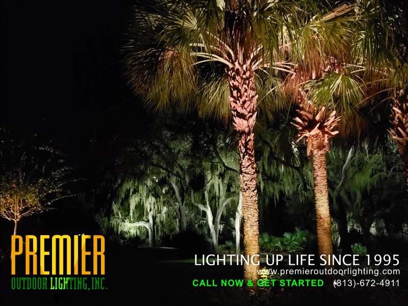 Tampa Landscape Lighting Services in Residential Outdoor Lighting photo gallery from Premier Outdoor Lighting