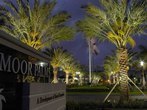 Outdoor Sign Lighting Techniques  - Company Projects