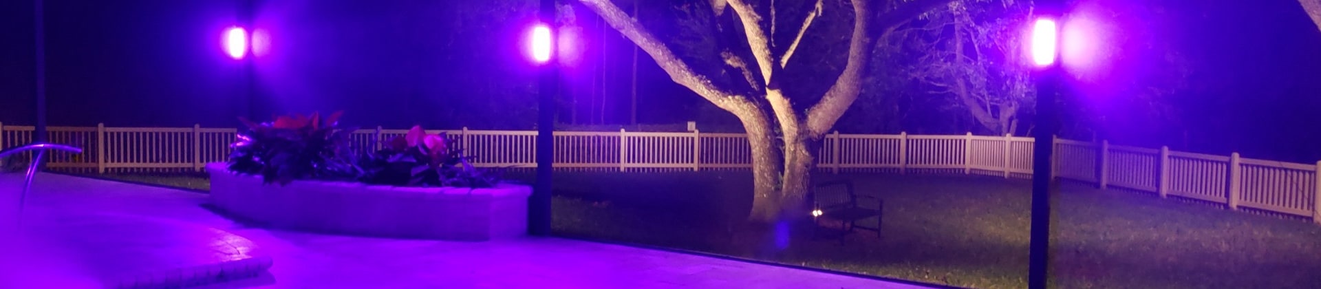 the Outdoor Area Features a Pool, Plants, and a Large Tree, All Beautifully Illuminated By Vibrant Purple Landscape Lighting At Night