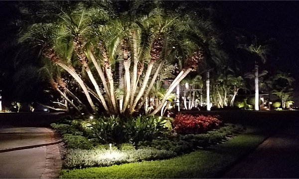 Palm trees and plants, enhanced with landscape lighting, glow at sunset beside a water body with a city skyline in the distance