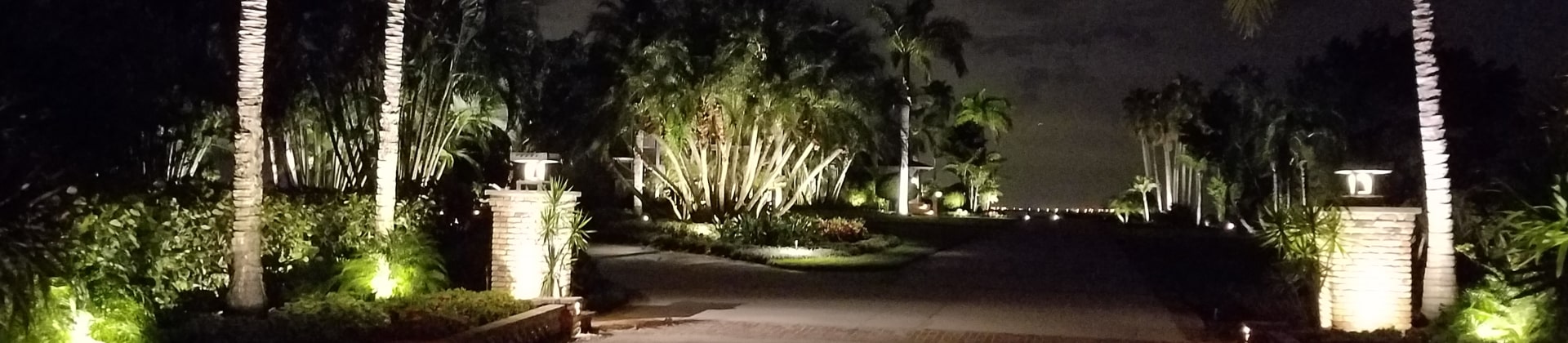 a Wide Driveway Lined With Palm Trees and Enhanced By Strategic Landscape Lighting At Night Leads To a Distant Building